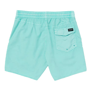 Volcom Center Trunks 17" Men's Boardshorts - Crete Blue