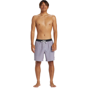 Quiksilver Original Straight Volley 17" Men's Boardshorts - Sharkskin