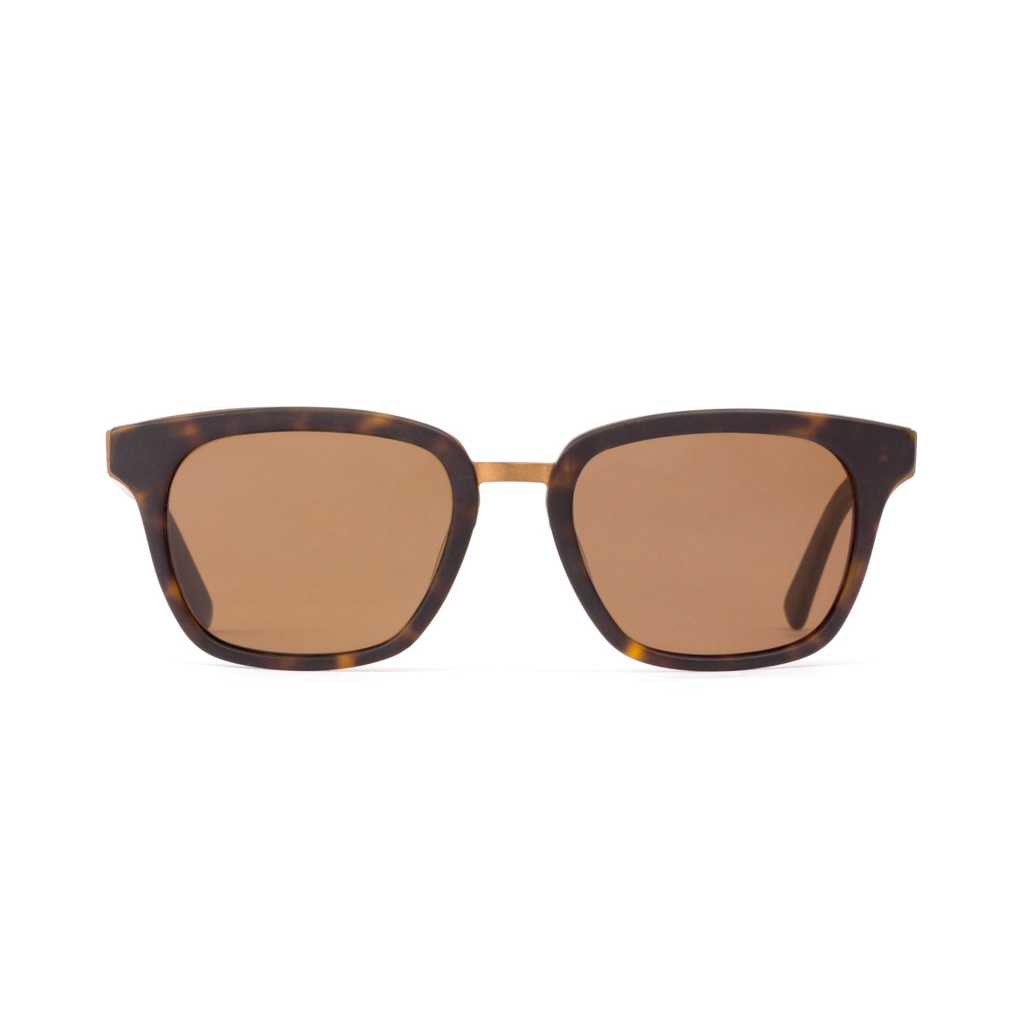 Otis Fiction Men's Sunglasses - Matte Dark Tortoise/Brown Polarized